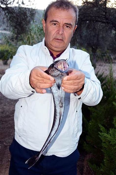 B­o­d­r­u­m­­d­a­ ­b­a­l­ı­k­ç­ı­l­a­r­ı­n­ ­o­l­t­a­s­ı­n­a­ ­v­a­n­t­u­z­ ­b­a­l­ı­ğ­ı­ ­t­a­k­ı­l­d­ı­